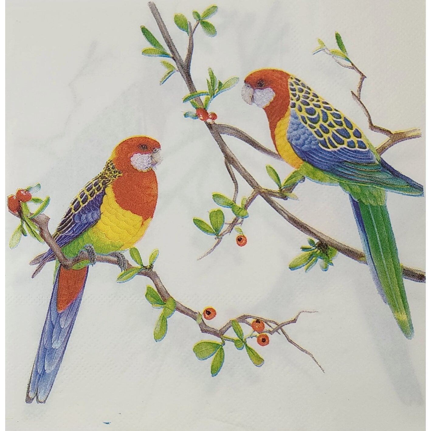 Unbranded Napkin/Serviette - Rosellas