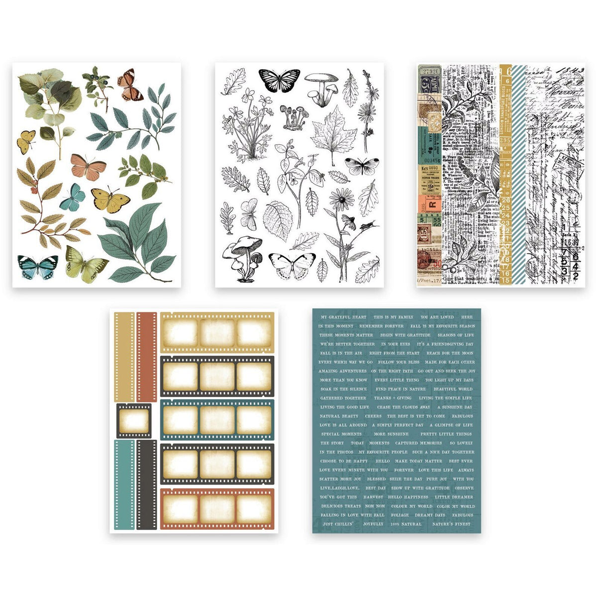 Arden Creative Studio Sticker Book - Amber Ledgers