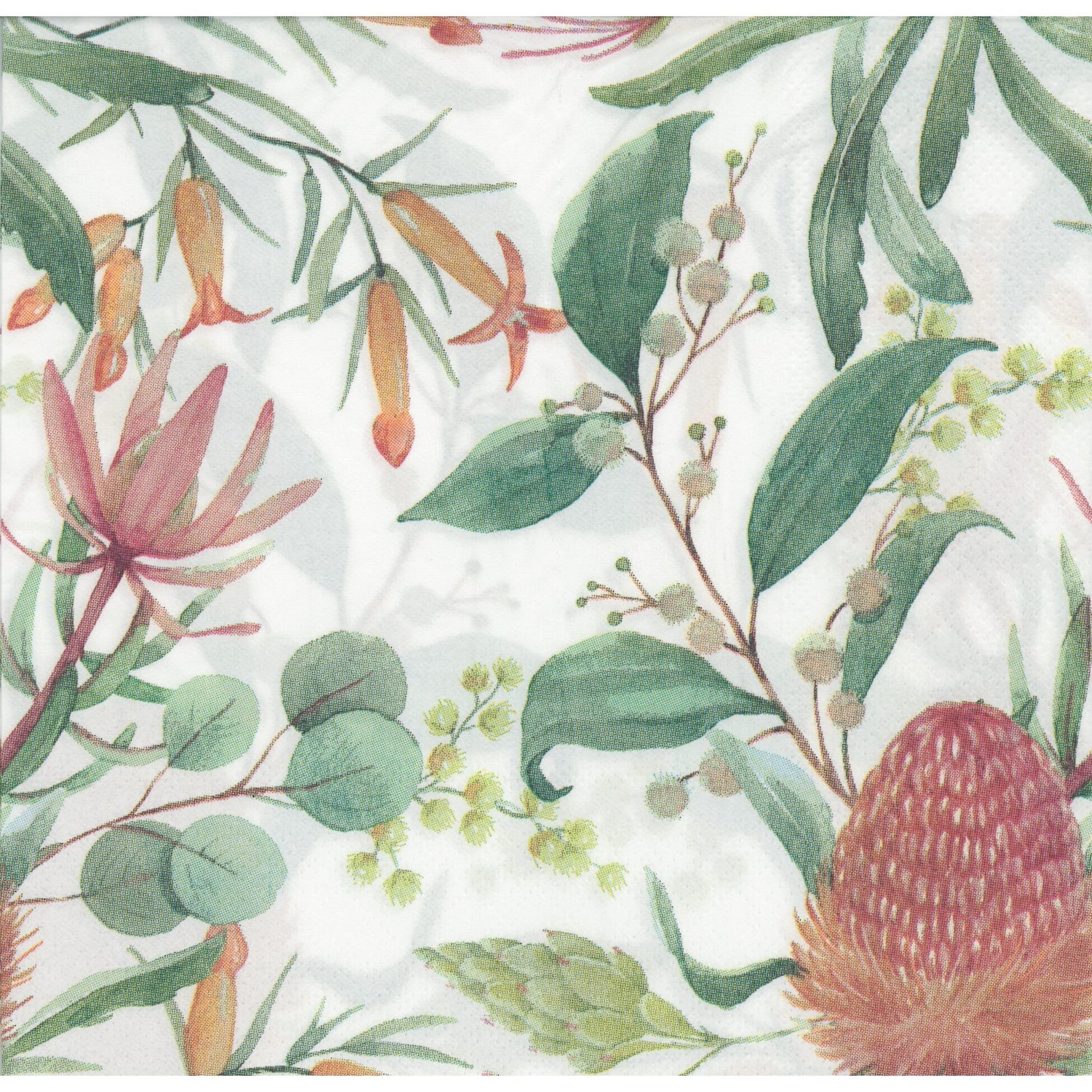 Accent Napkin/Serviette - Australian Natives