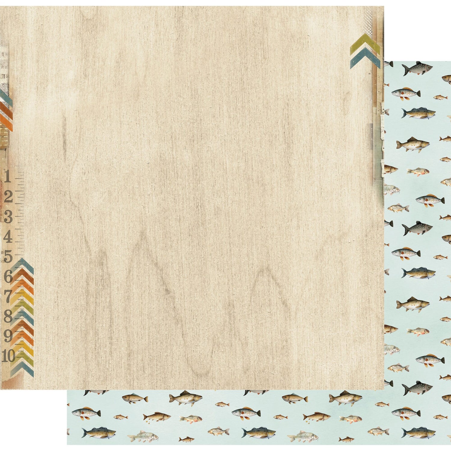 Uniquely Creative Field Notes  - Longitudes Paper