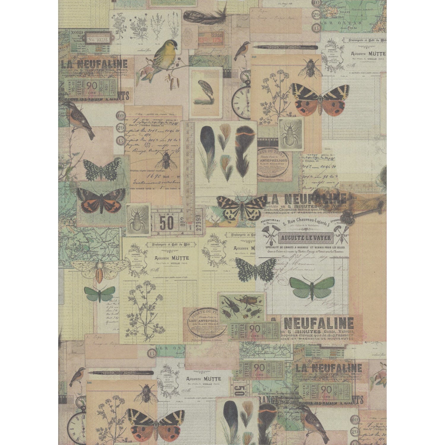 Kaiser Style Napkin/Serviette - Ephemera