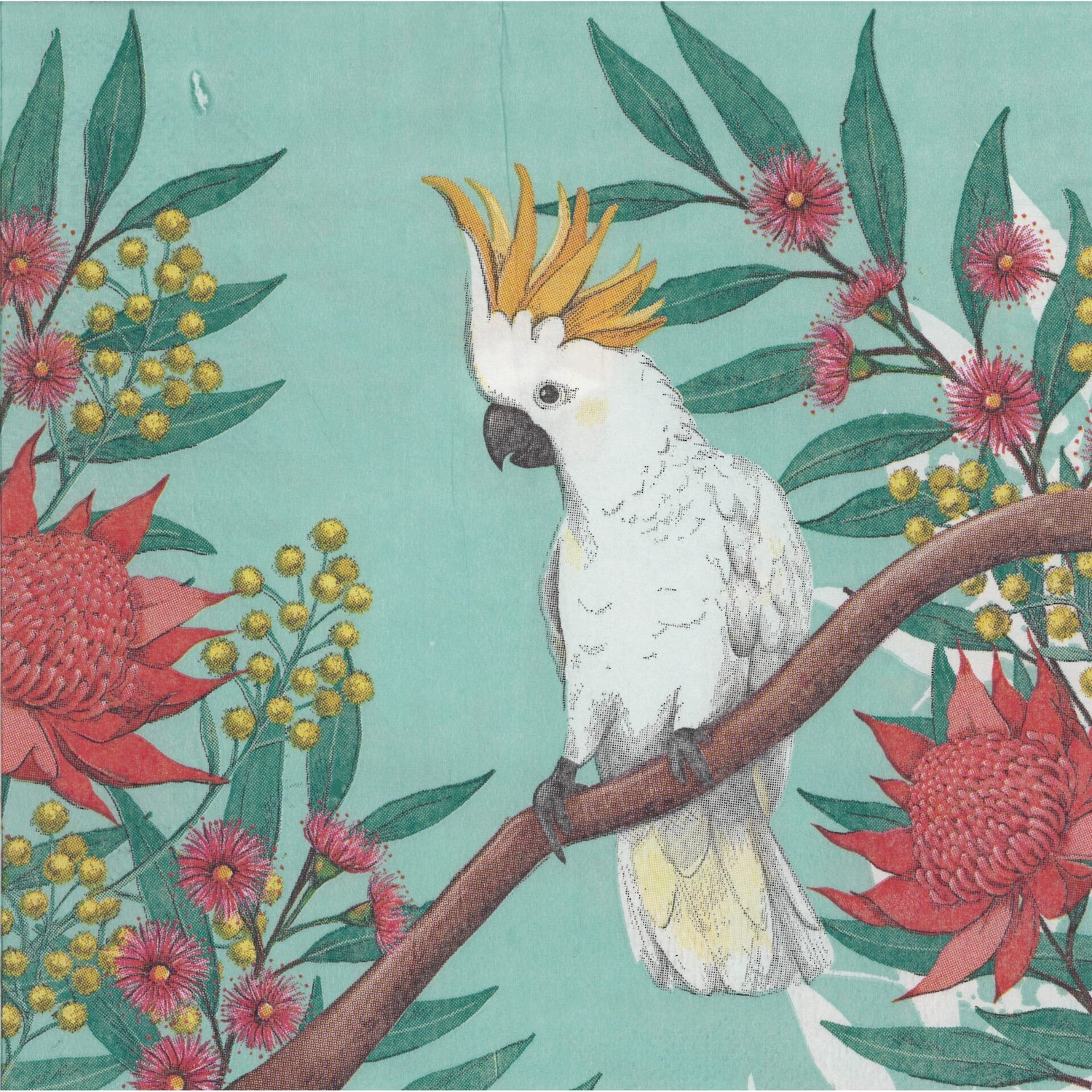 Artwrap Napkin/Serviette - Cockatoos & Waratahs
