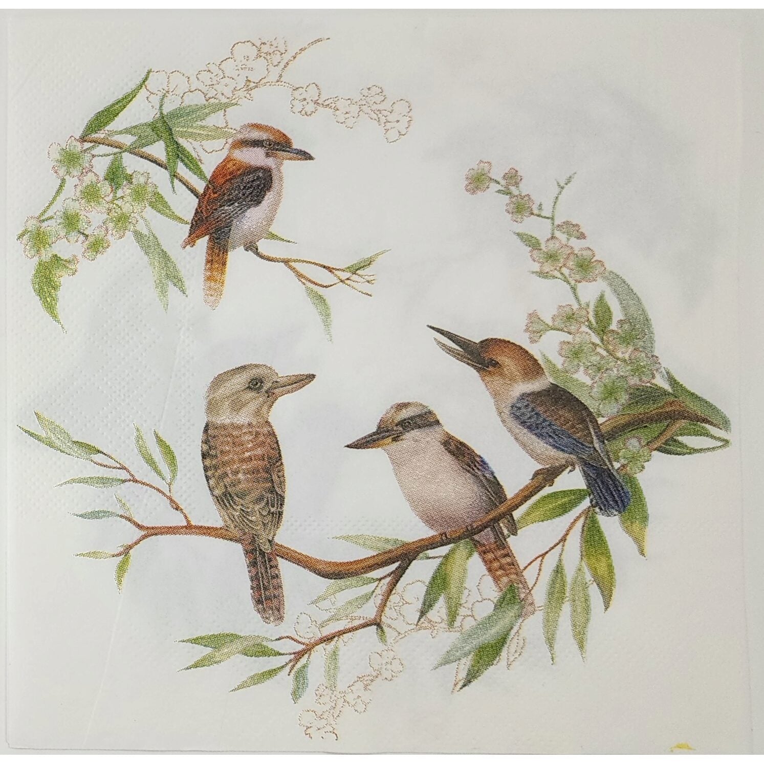 Unbranded Napkin/Serviette - Kookaburra