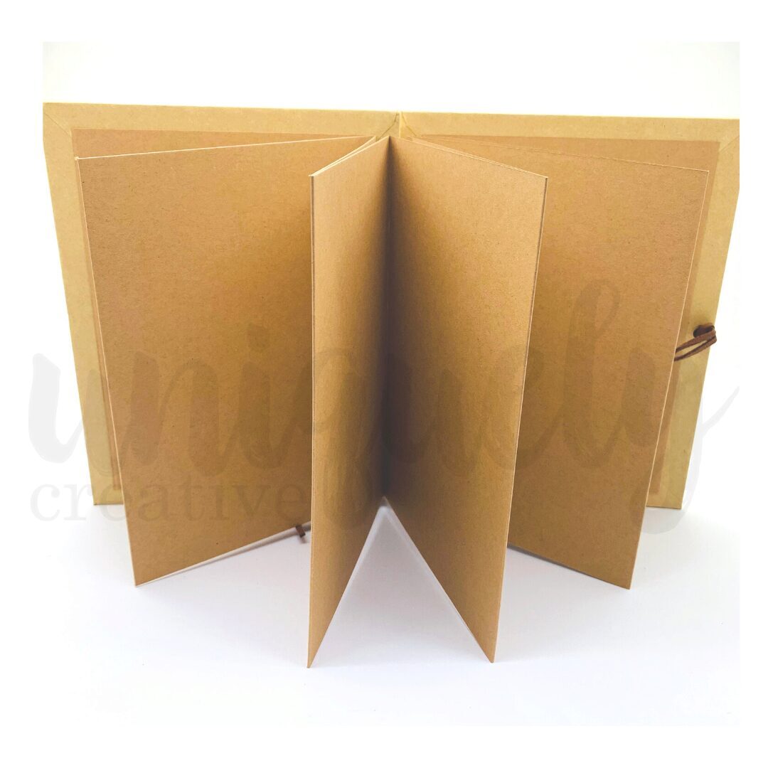 Uniquely Creative Accordion Album - Blank