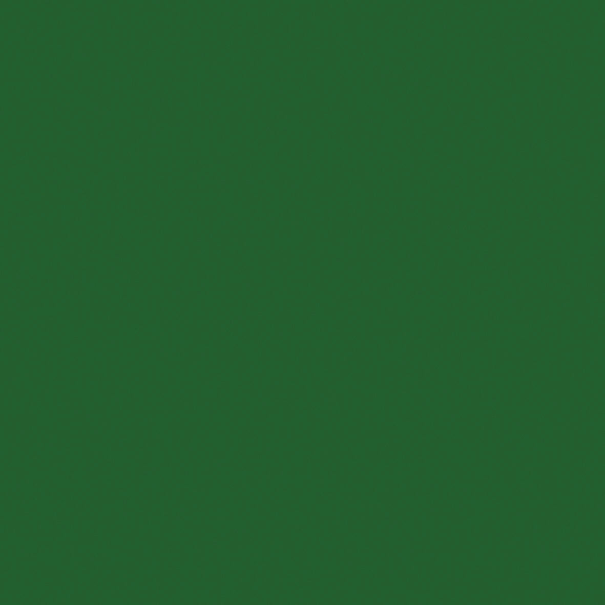 Kaisercraft 12x12" Weave Cardstock 220gsm - Cactus