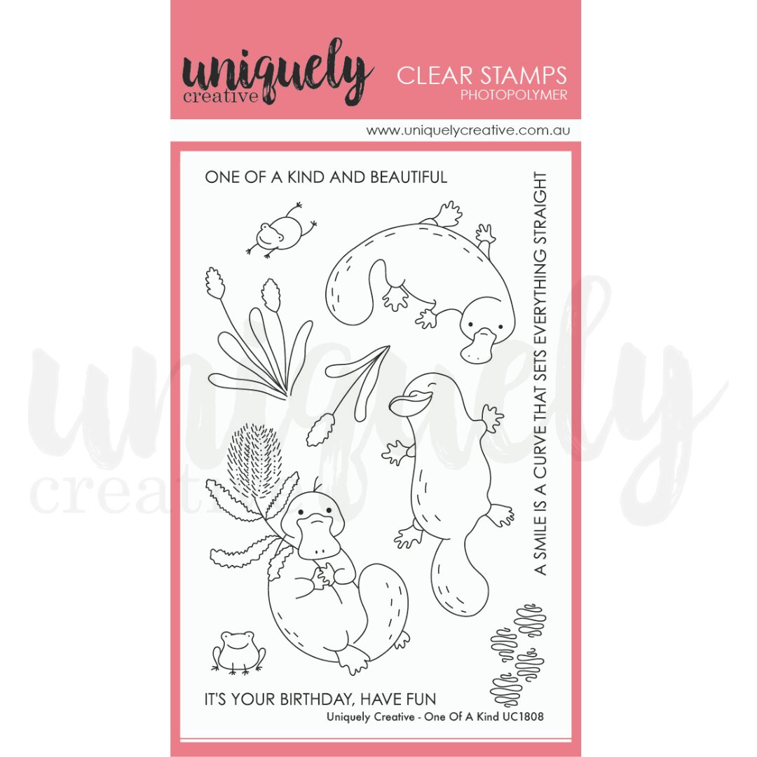 Uniquely Creative Stamp & Die Set Bundle - One of a Kind