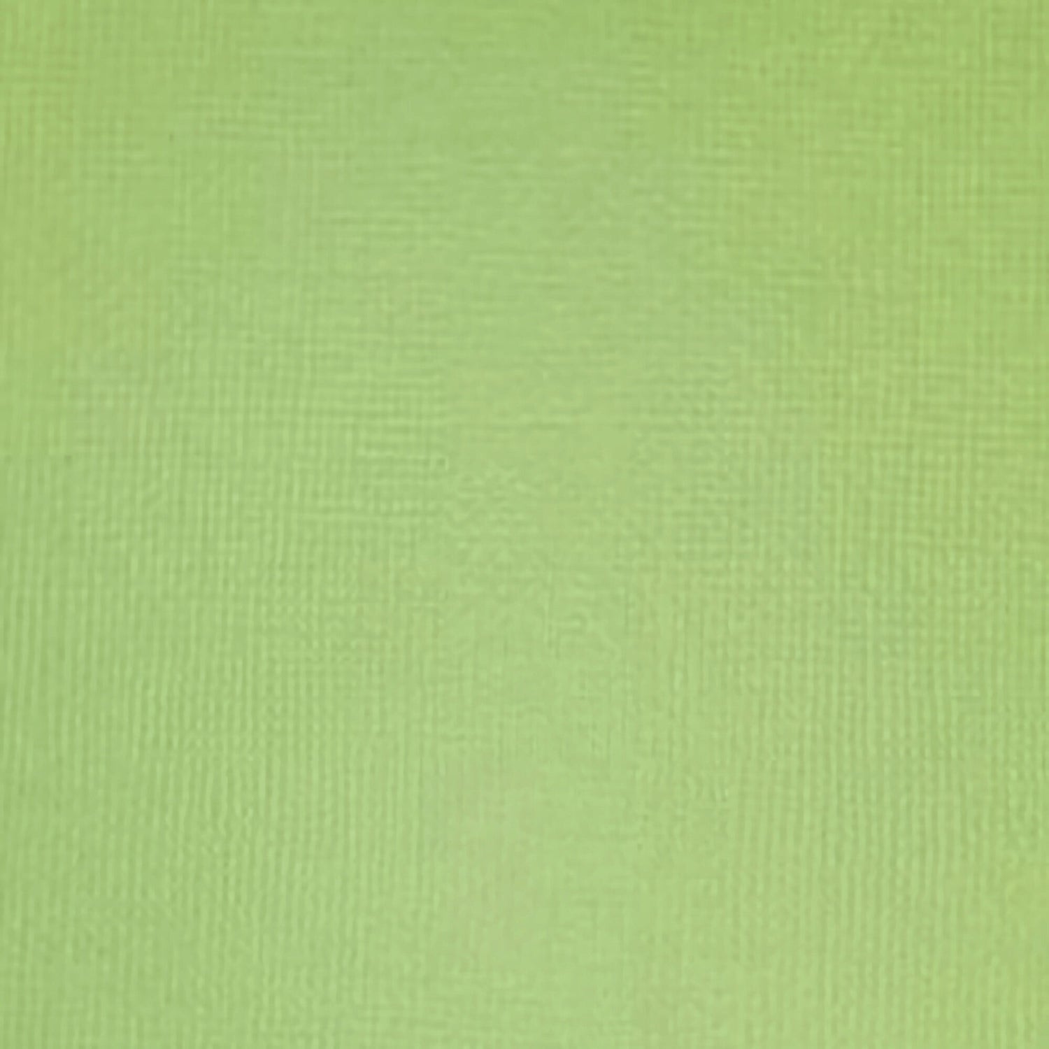 American Crafts 12x12" Cardstock - Cabbage