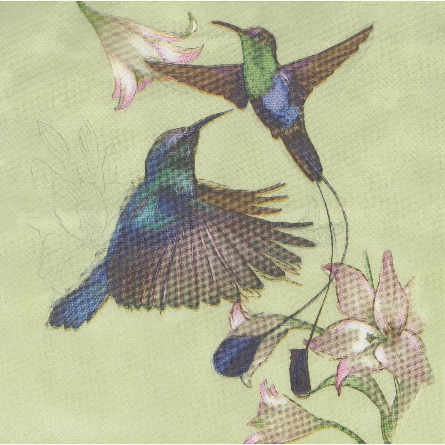 Unbranded  Napkin/Serviette - Dance of the Hummingbirds