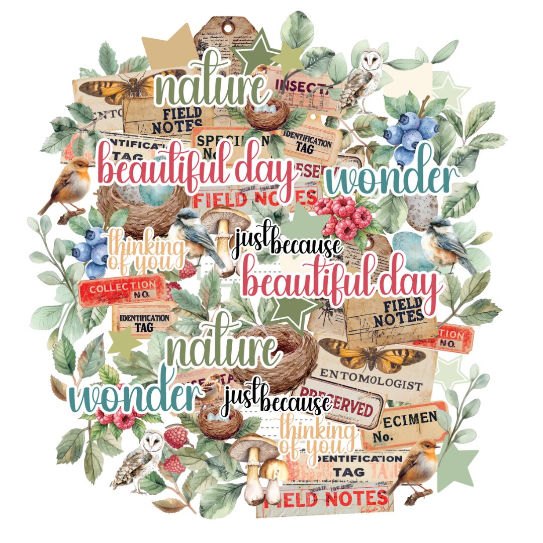 Uniquely Creative Vellum Creative Cuts - Botanical Chronicles