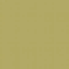 Kaisercraft 12x12" Weave Cardstock 240gsm - Sprout
