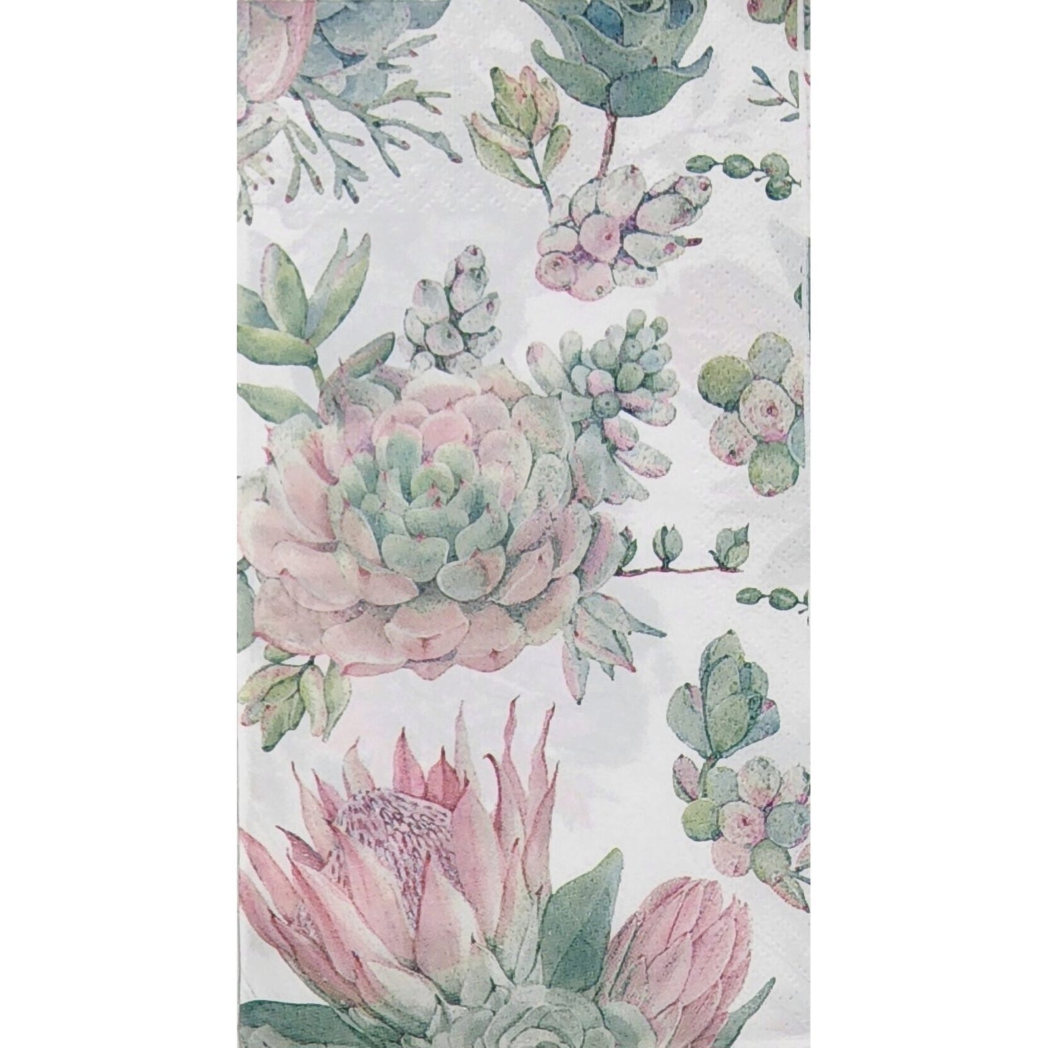 Kaiser Style Napkin/Serviette - Succulents