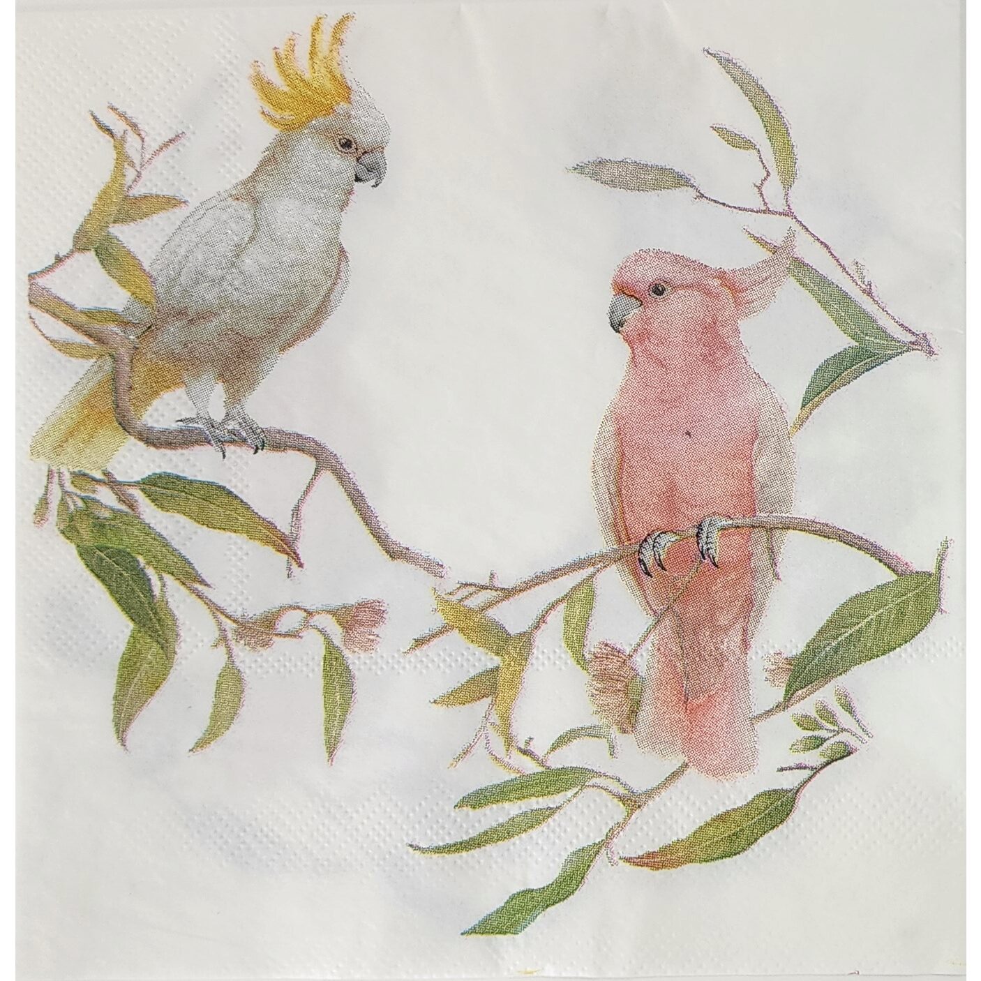 Unbranded Napkin/Serviette - Cockatoo & Galah