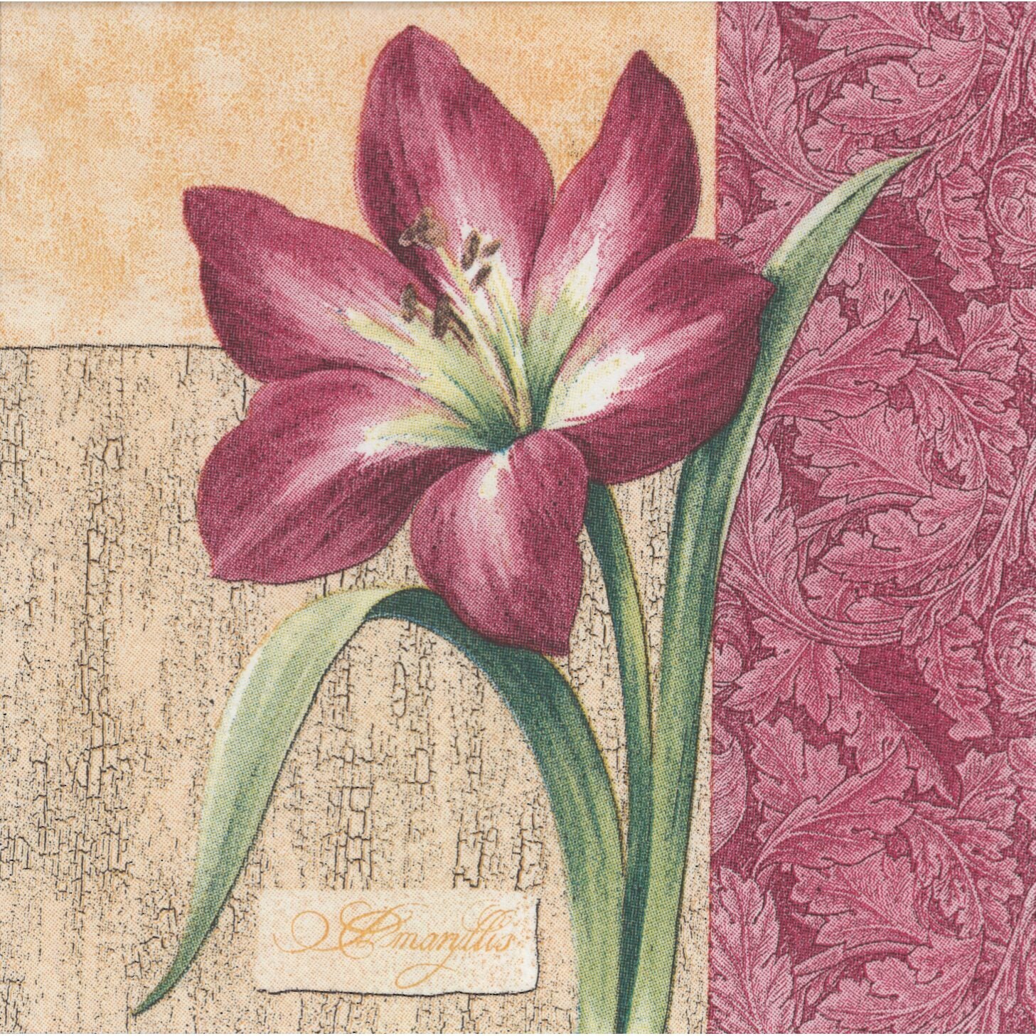 Cypress Home Cocktail Napkin/Serviette - Lily