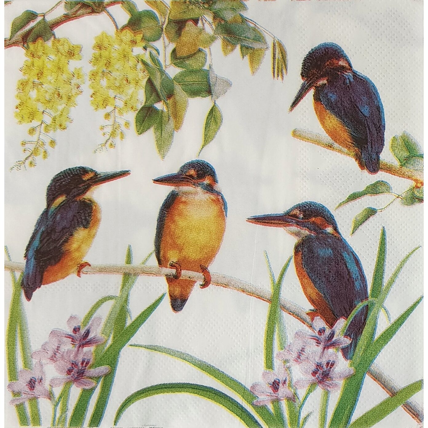 Unbranded Napkin/Serviette - Kingfisher