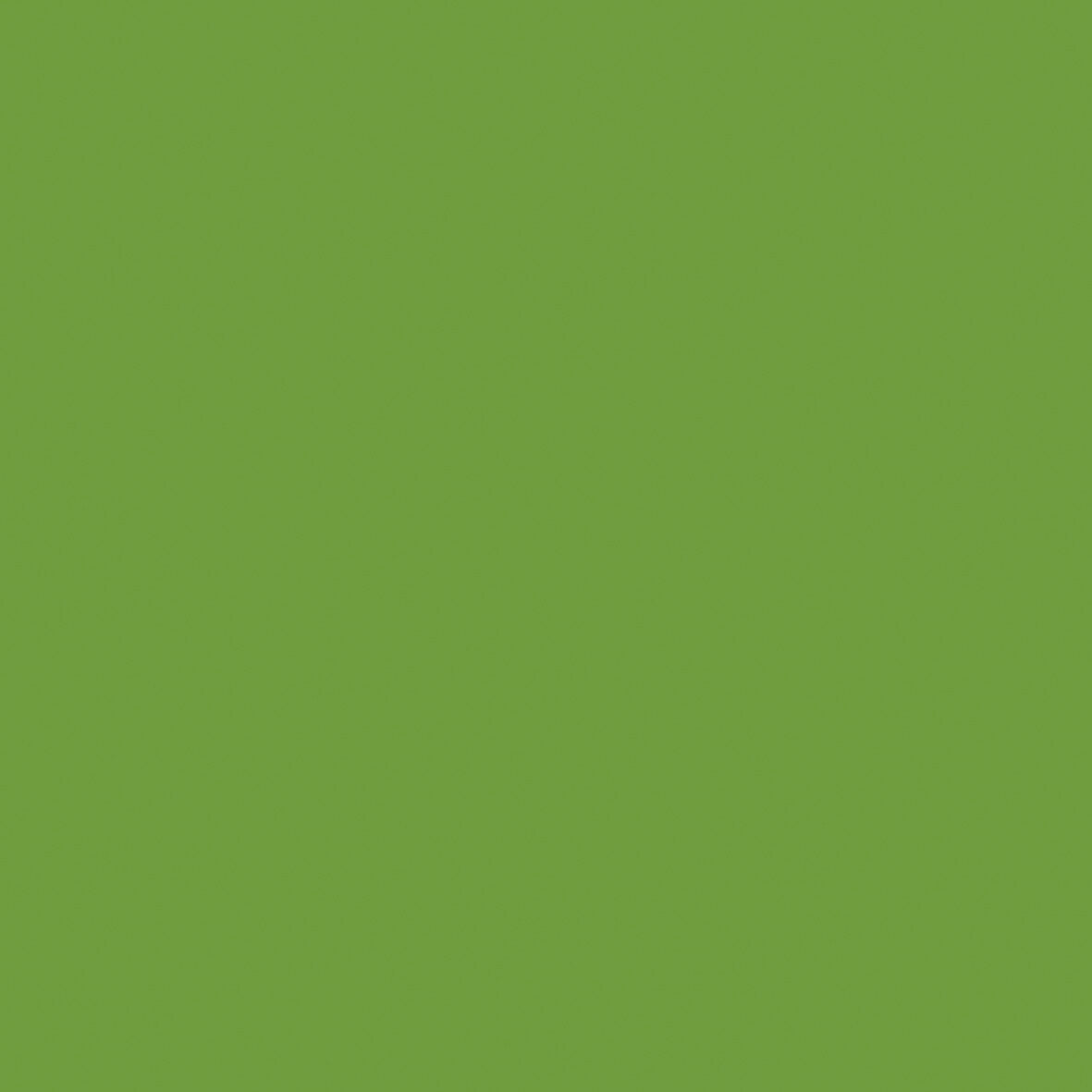 Kaisercraft 12x12" Weave Cardstock 220gsm - Lime