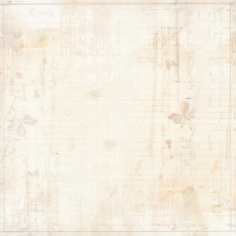Uniquely Creative Dear Diary - Hoping Paper