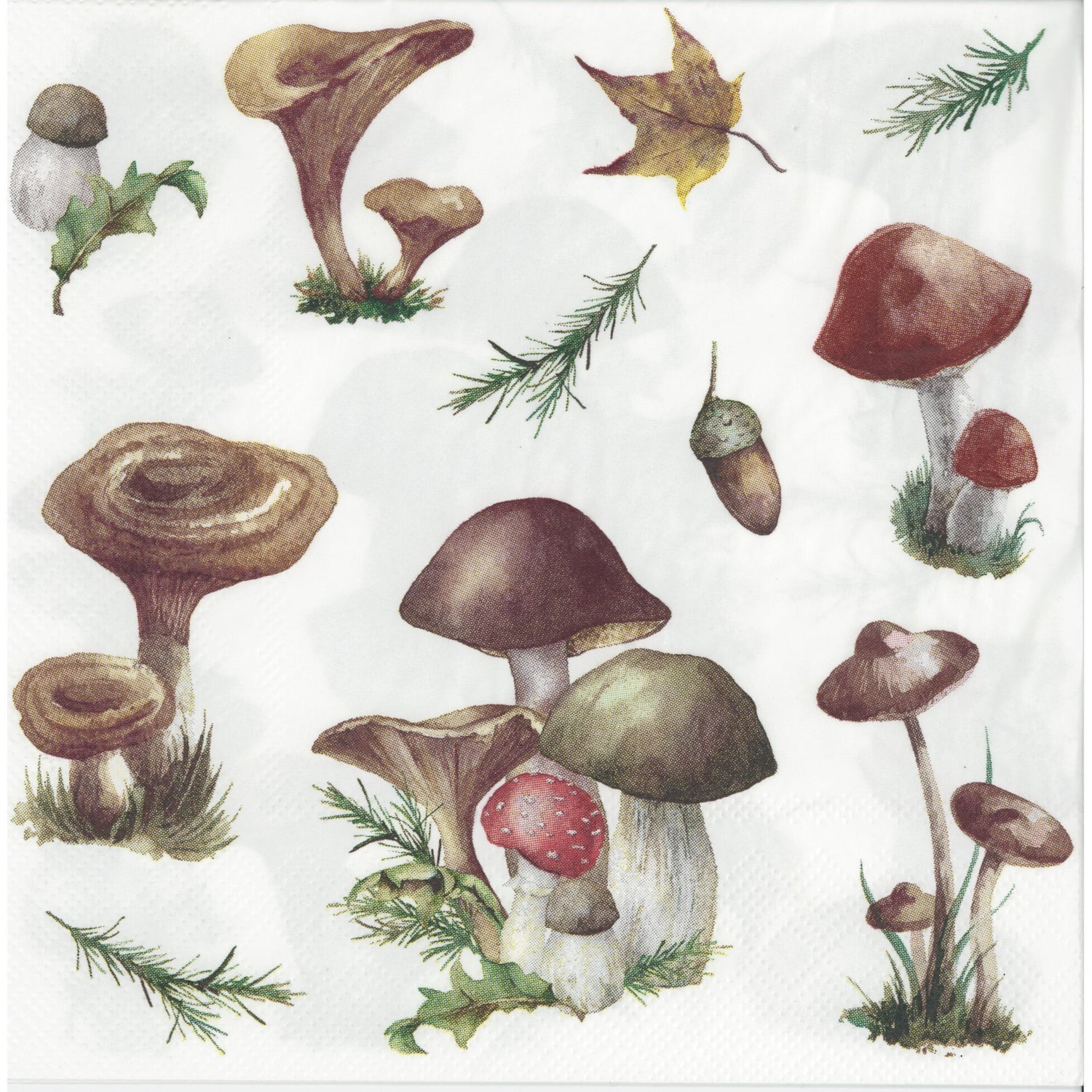 Omara Home Napkin/Serviette - Mushrooms of the Forest