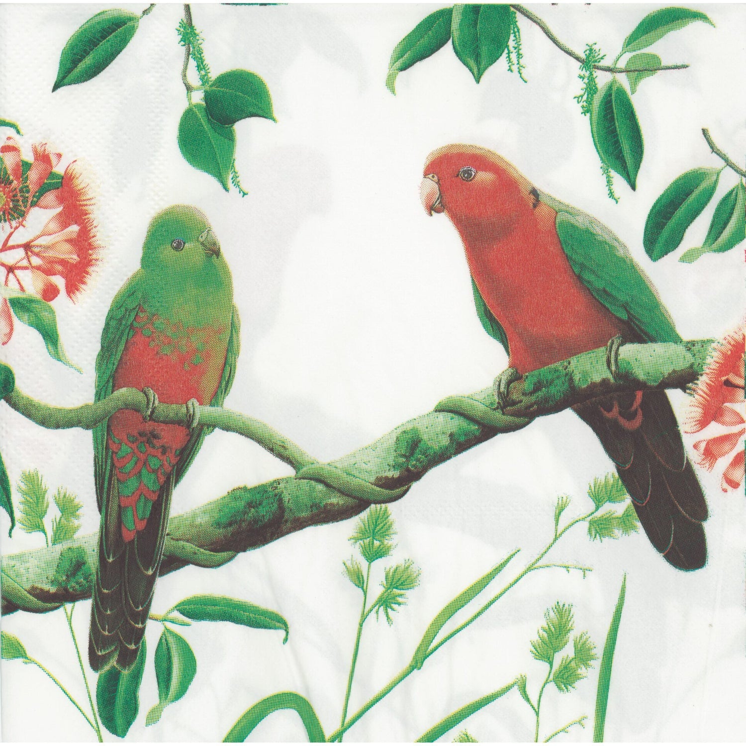 Unbranded Napkin/Serviette - Parrots