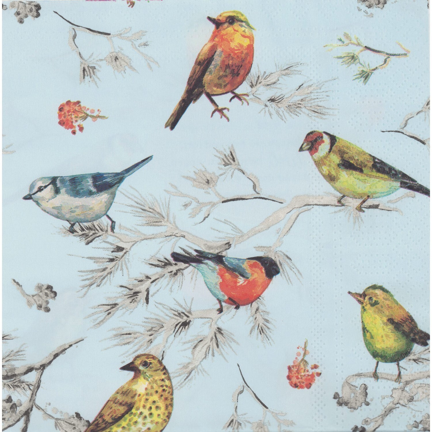 Unbranded Napkin/Serviette - German Finches
