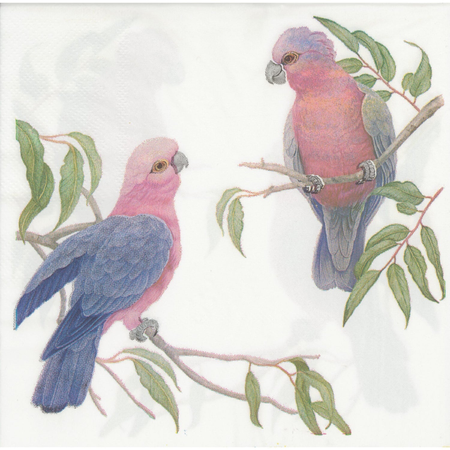 Unbranded Napkin/Serviette - Galahs