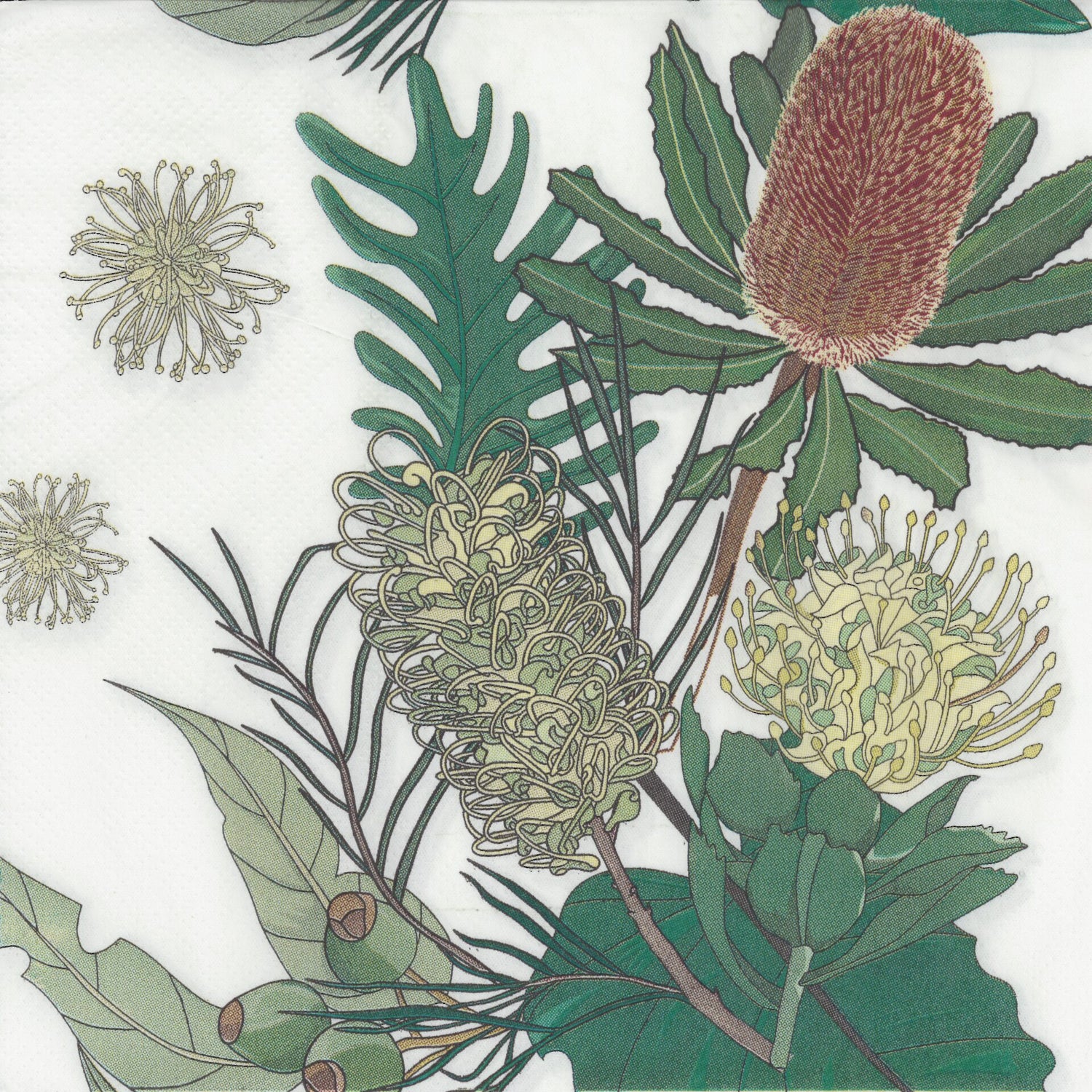 Unbranded Napkin/Serviette - Bottlebrush