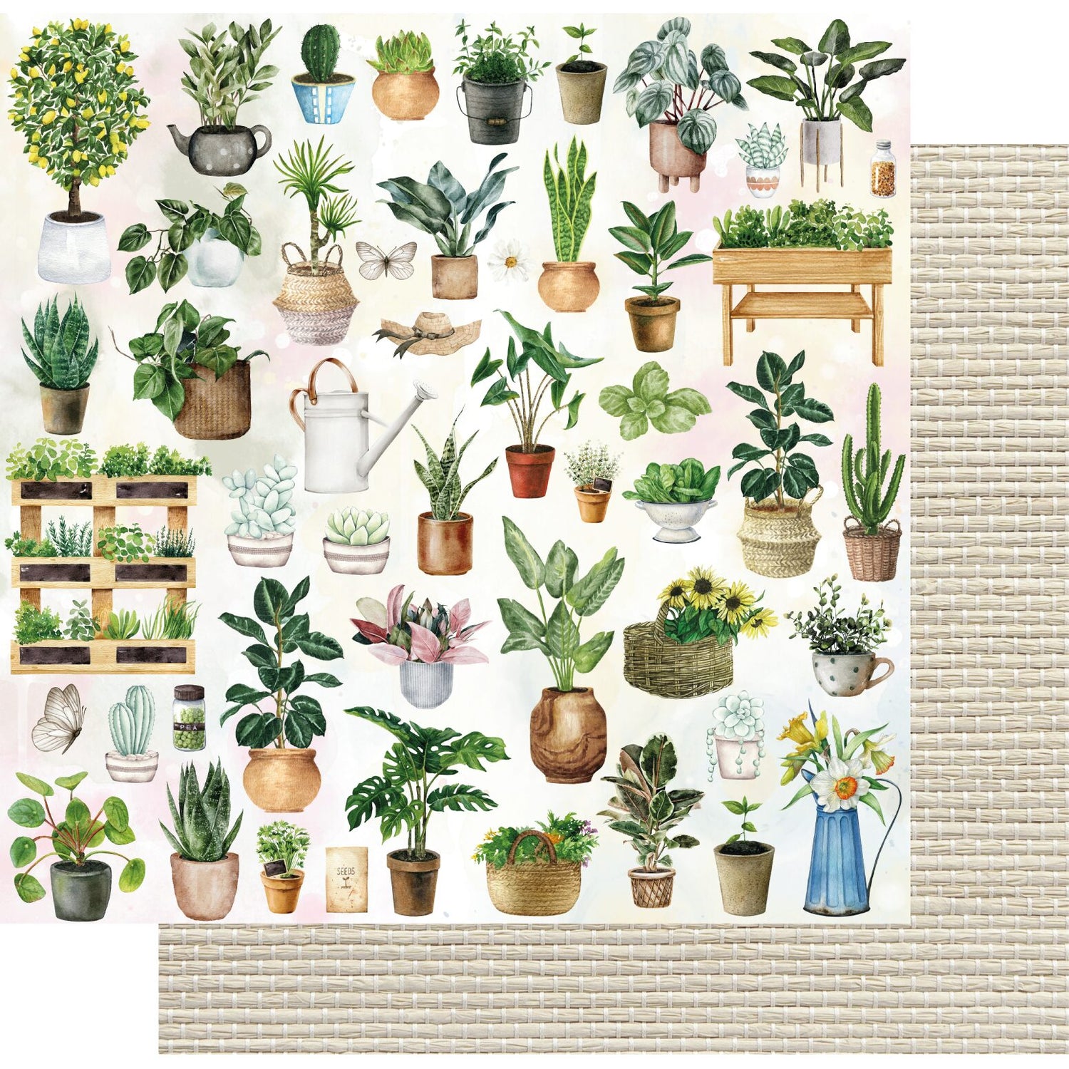 Uniquely Creative Garden Path - Houseplants Paper