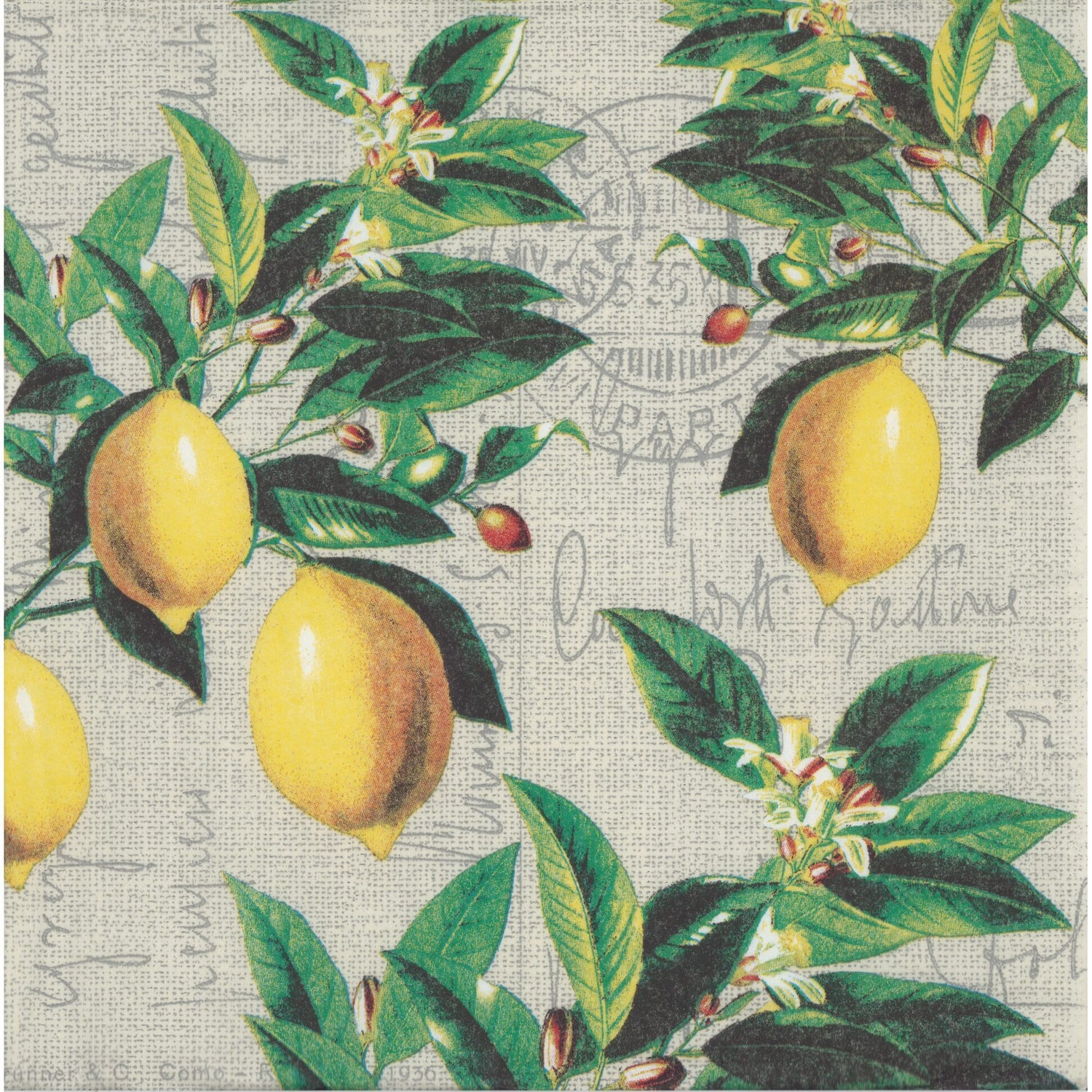 PPD Napkin/Serviette - Capri