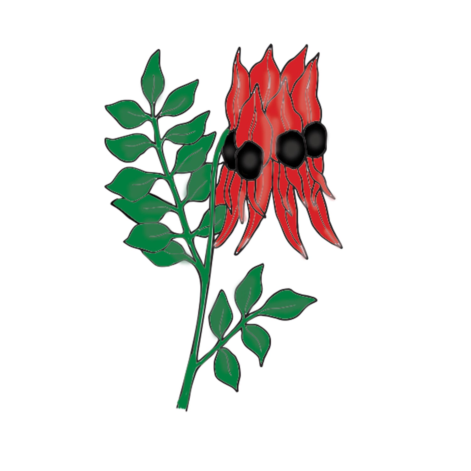 Couture Creations Australia’s Natural Beauties – Stamp & Die Set – Sturt Desert Pea