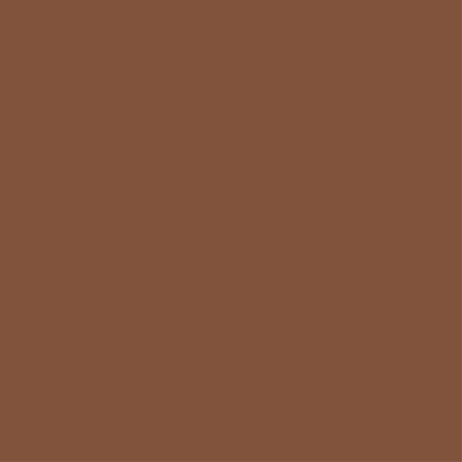 Uniquely Creative - 12x12" Cardstock 250gsm - Chocolate