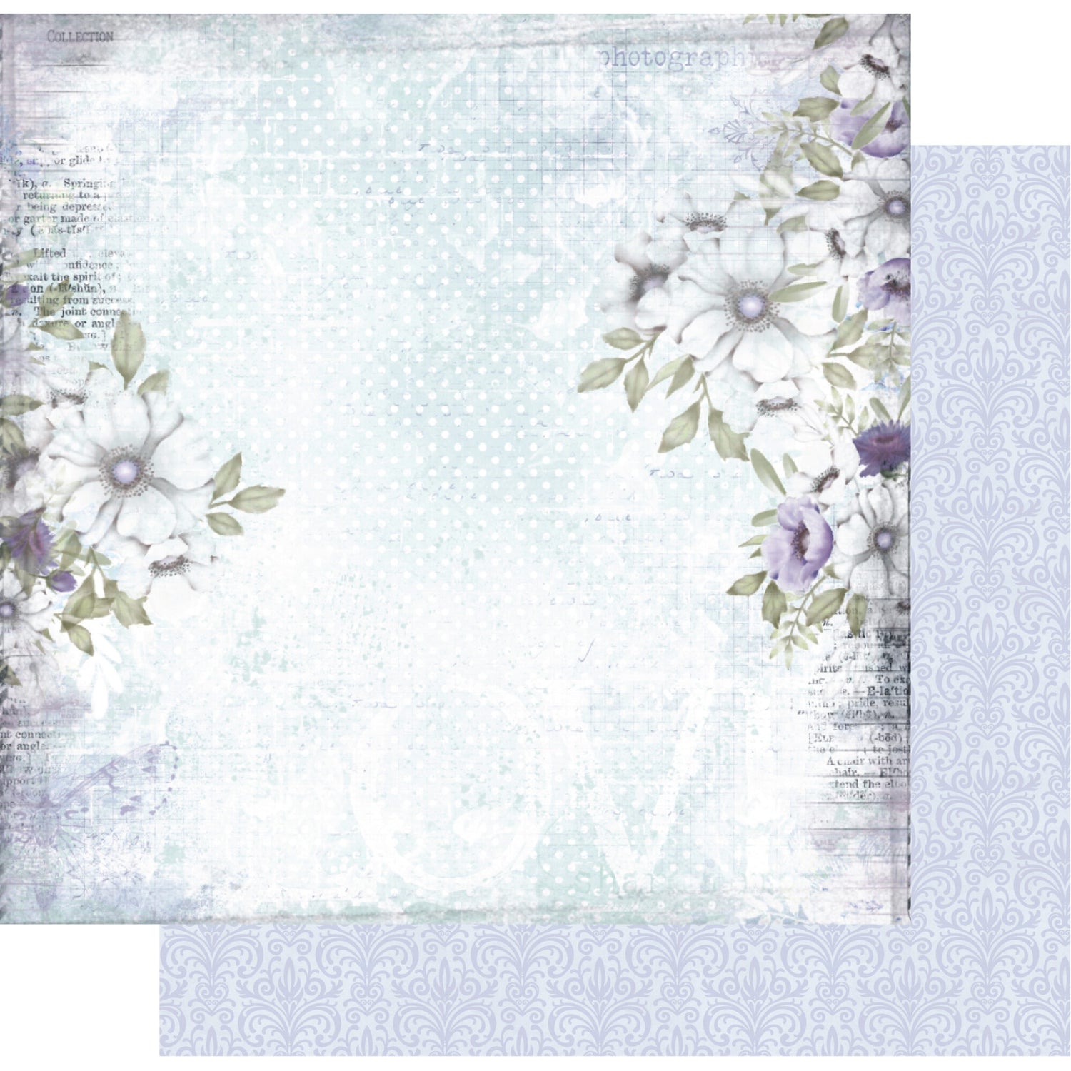 Uniquely Creative Wisteria Lane - Adventurous Paper