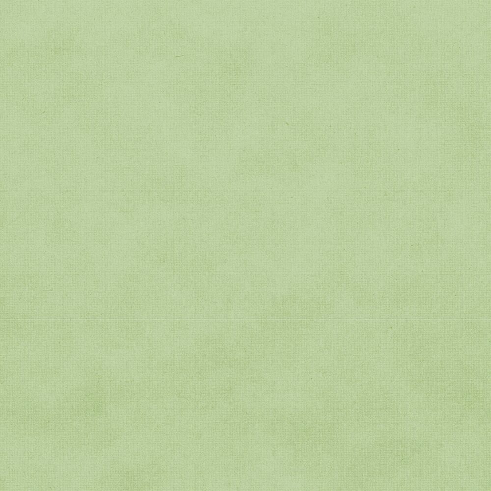 Uniquely Creative Delighted Curiousities -  Curiosity Cabinet Paper