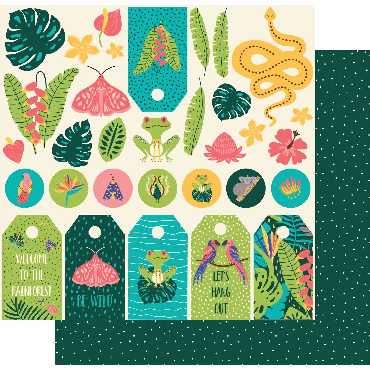 Uniquely Creative Rainforest Retreat - Daintree Paper