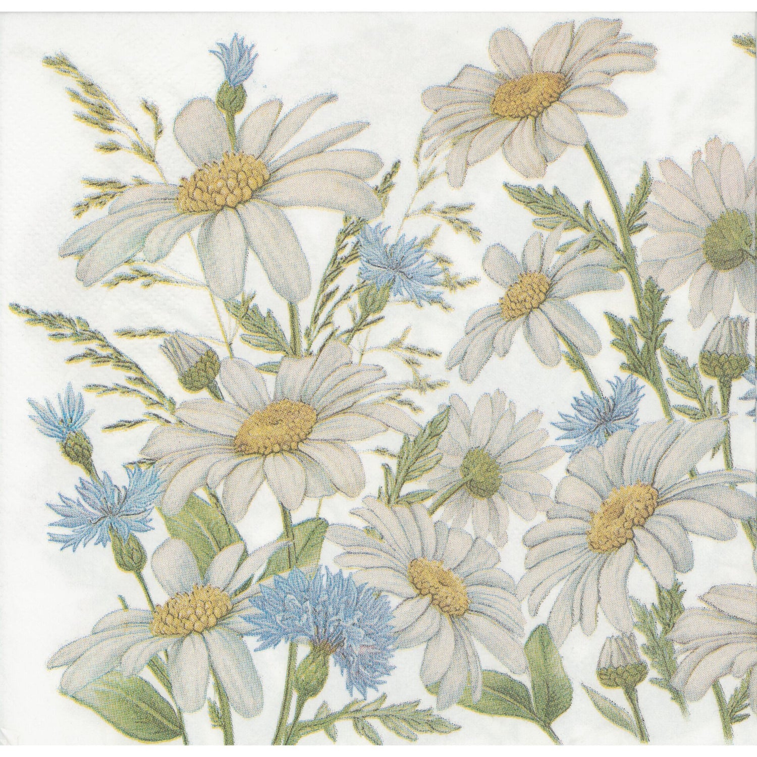 Unbranded Napkin/Serviette - Where the Daisies Dance