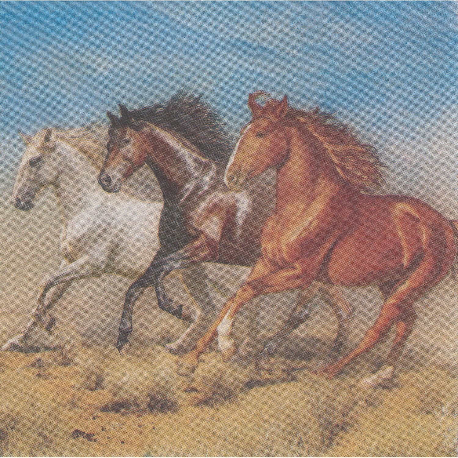Unbranded Napkin/Serviette - Wild Horses