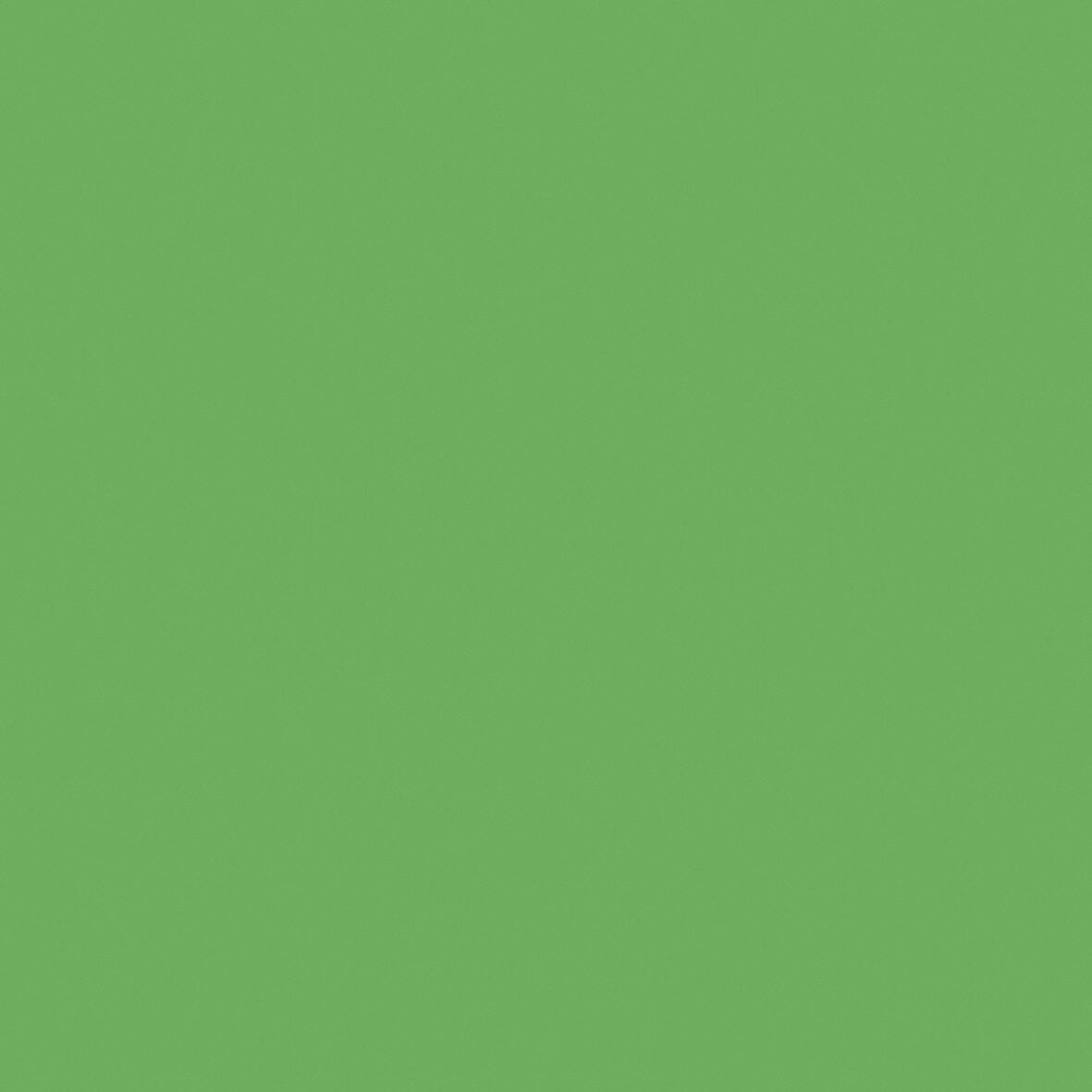Kaisercraft 12x12" Weave Cardstock 220gsm - Frog