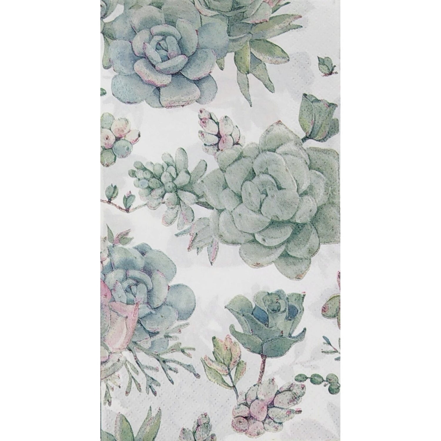 Kaiser Style Napkin/Serviette - Succulents