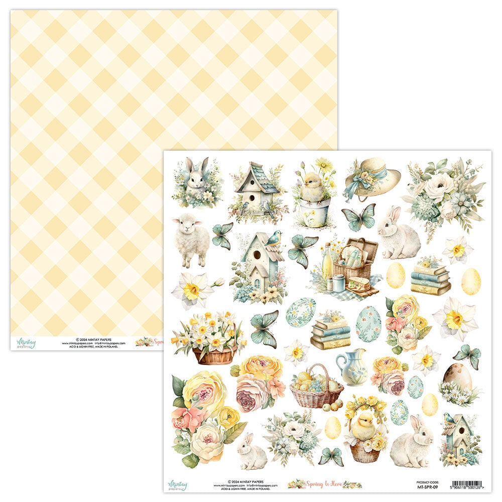 Mintay 12x12 Paper - Spring is Here - Elements MT-SPR-09